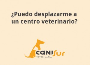 veterinario motril abierto confinamiento