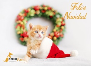 feliz navidad 2020 veterinario motril